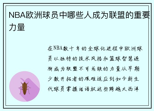 NBA欧洲球员中哪些人成为联盟的重要力量